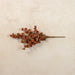 Rust Mini Daisy Bush, 22"