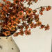 Rust Mini Daisy Bush, 22"