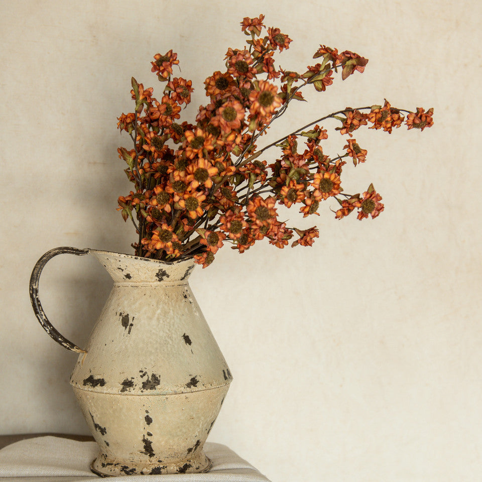 Rust Mini Daisy Bush, 22"