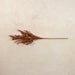 Decorative Faux Floral Stem, Rustic Brown