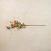 34" Orange Daisy Spray